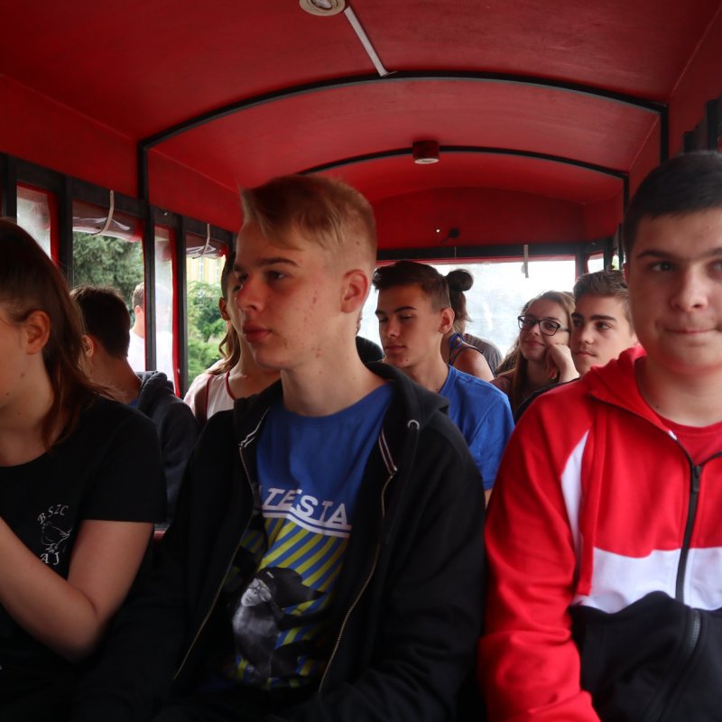 Verébtábor az Aranyban 2019 33